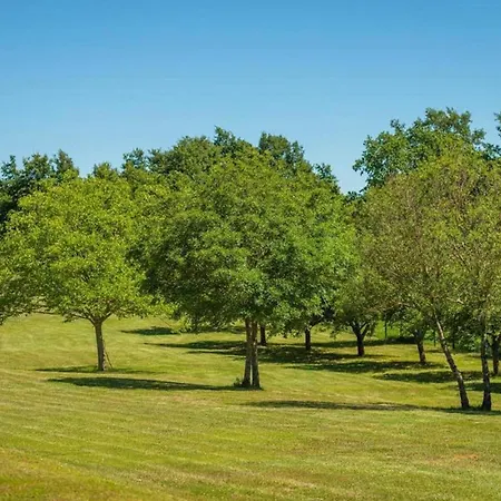 Сasa de vacaciones Branko Istria *