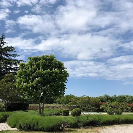 Сasa de vacaciones Branko Istria *